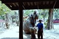 Thailand 2001-EX84